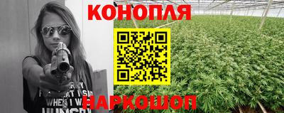 эйфоретик Малгобек