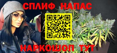 эйфоретик Малгобек