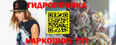 эйфоретик Малгобек