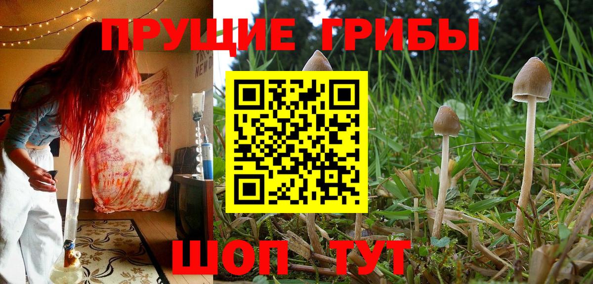 Псилоцибиновые грибы ЛСД Усинск